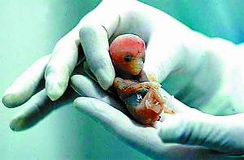 苏主任